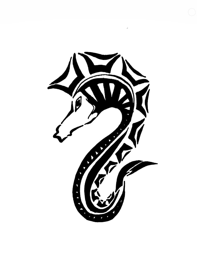 Seahorse