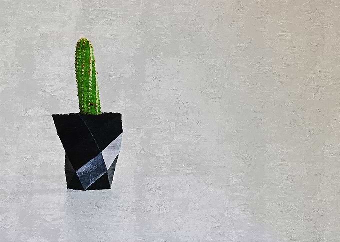 Cactus