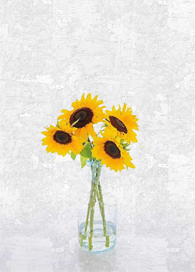 Chrysanthemum