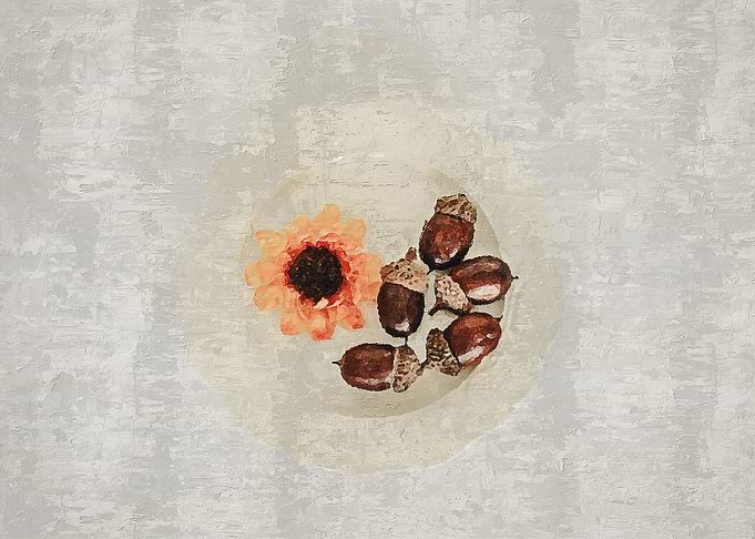 Chestnut