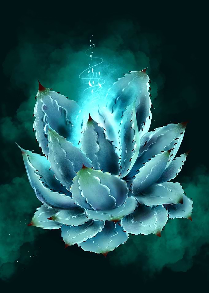 Blue Agave