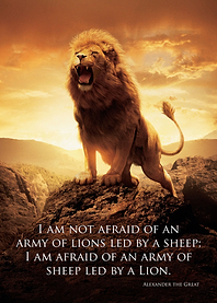 Army of Lions