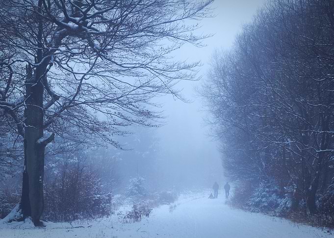 Winter Wonderland