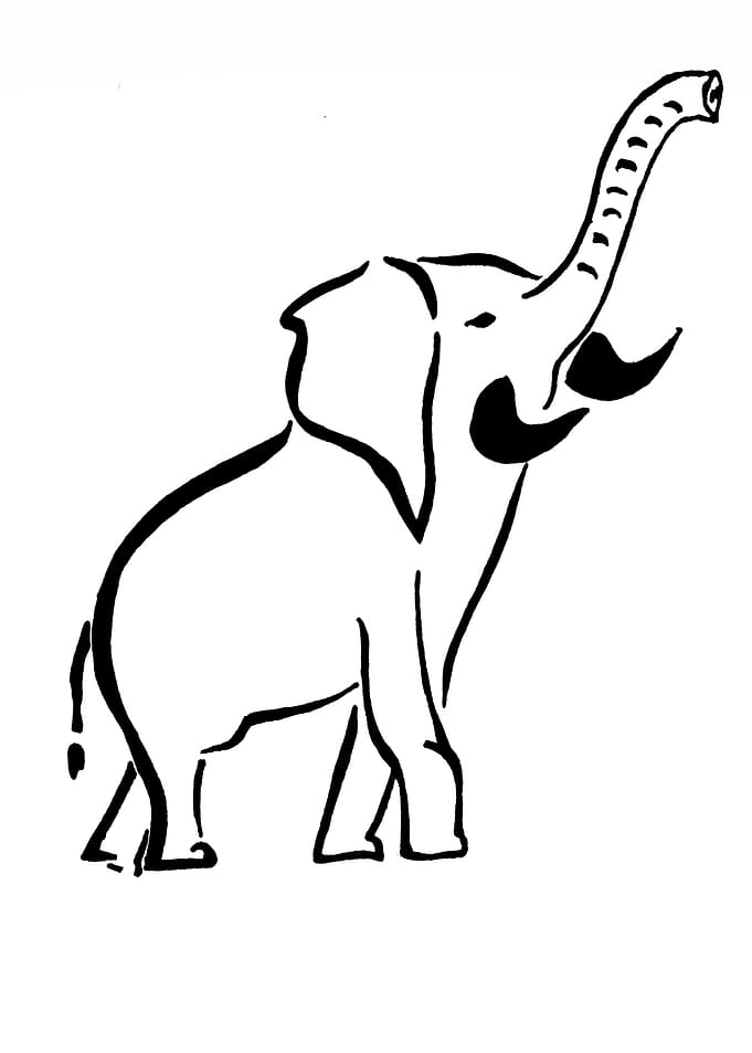 African elephant