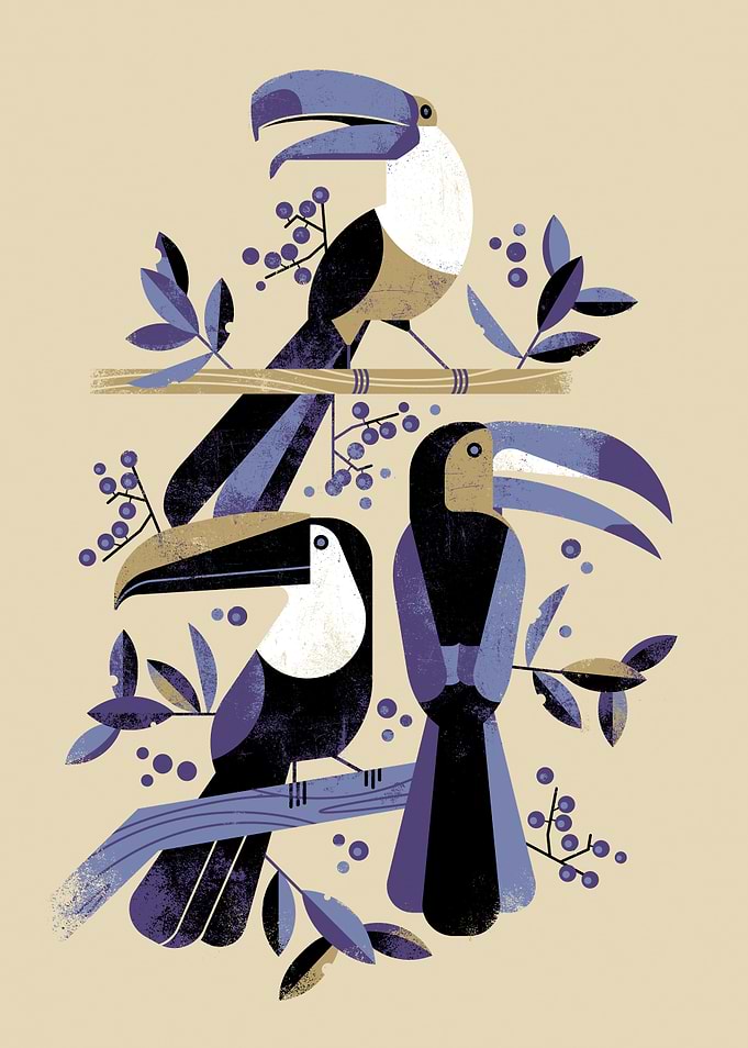 Toucans