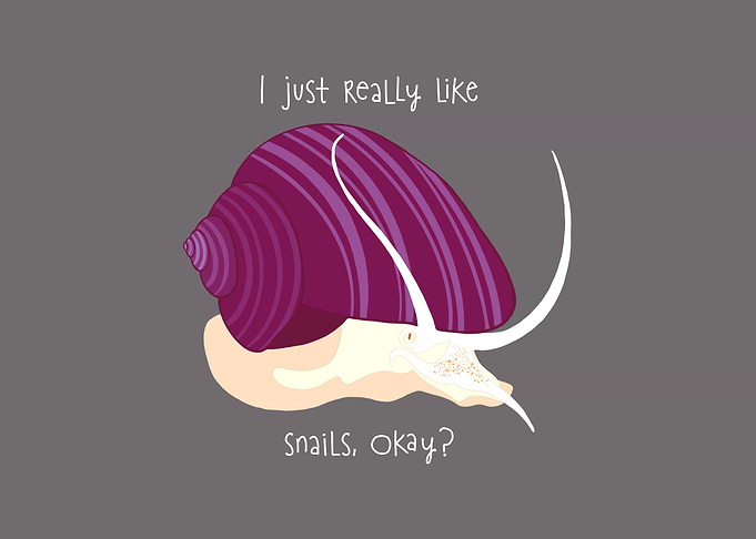 I just Really Like Snails