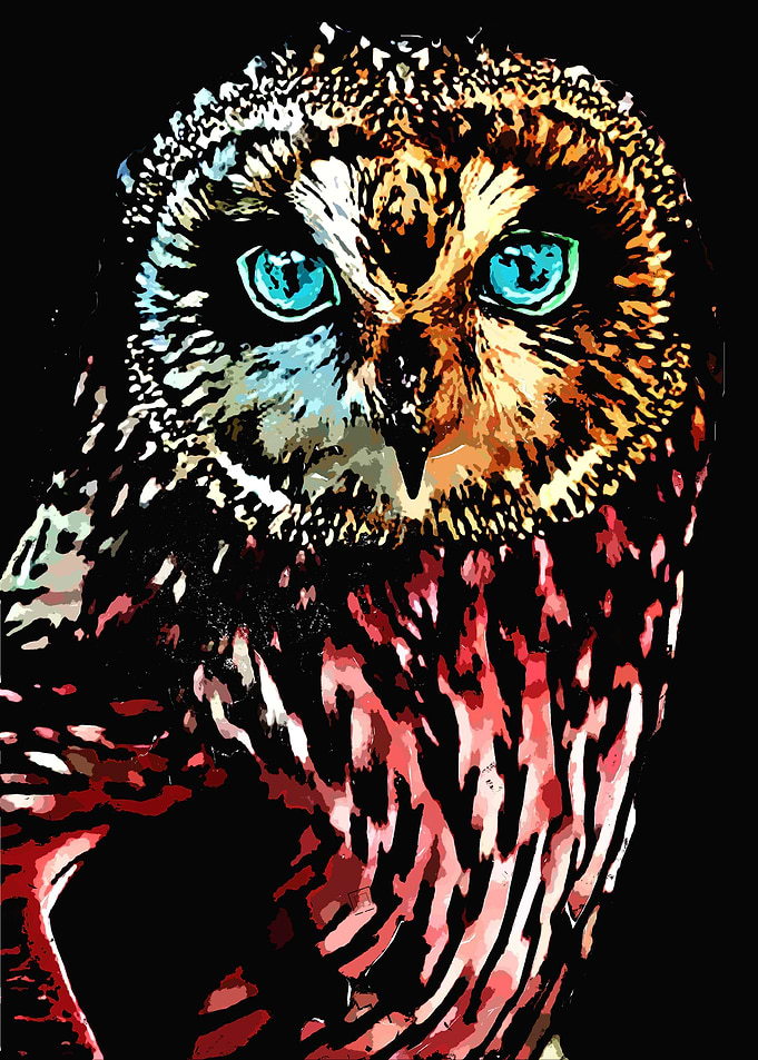 Owl Splatter