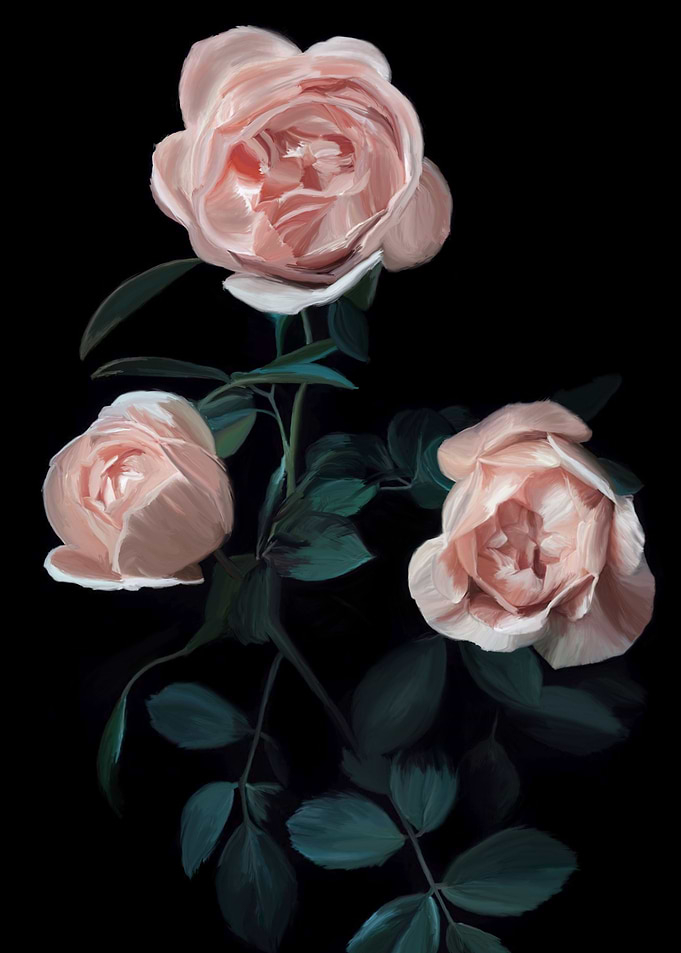 Roses from Athens