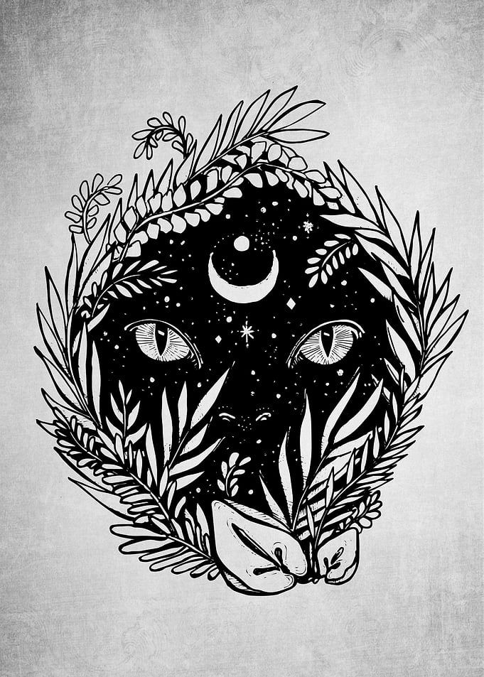 Wildcat