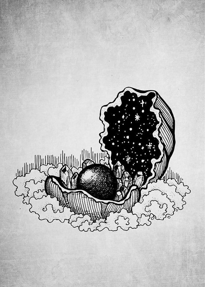 Frail Seashell
