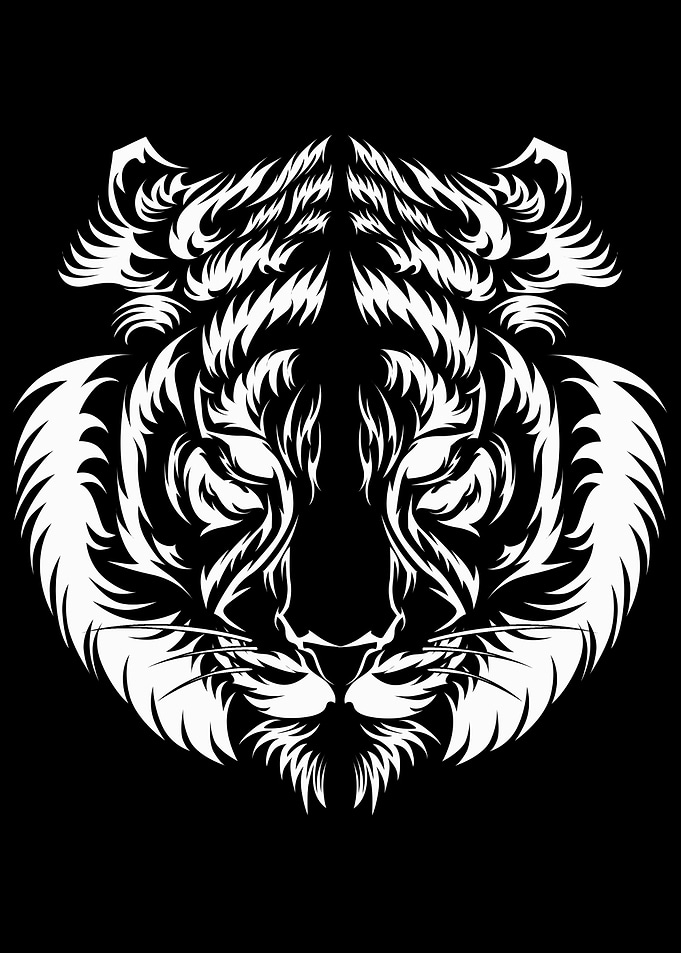 White tiger