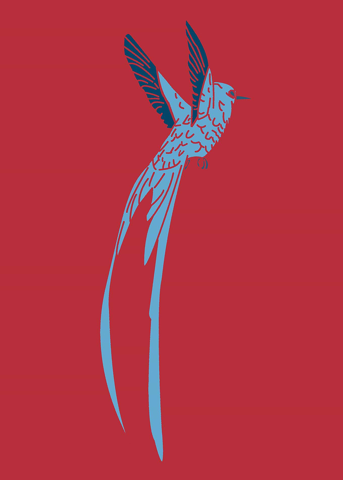 Bird