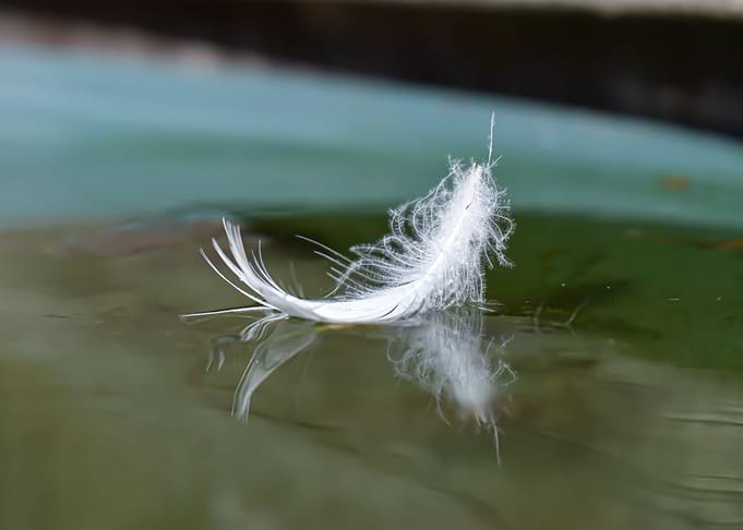 Feather on Water Vol2
