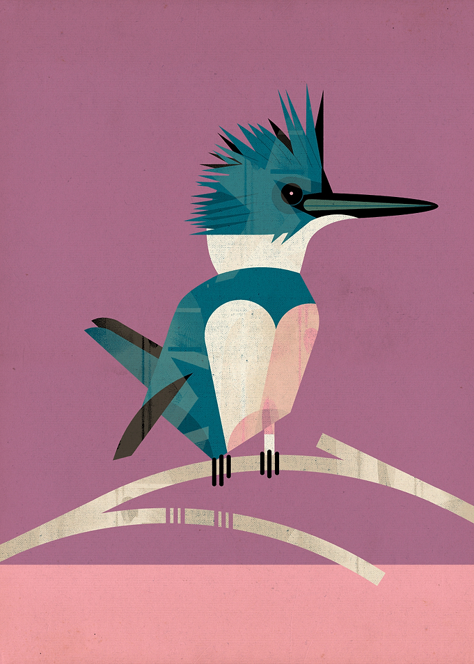 Kingfisher