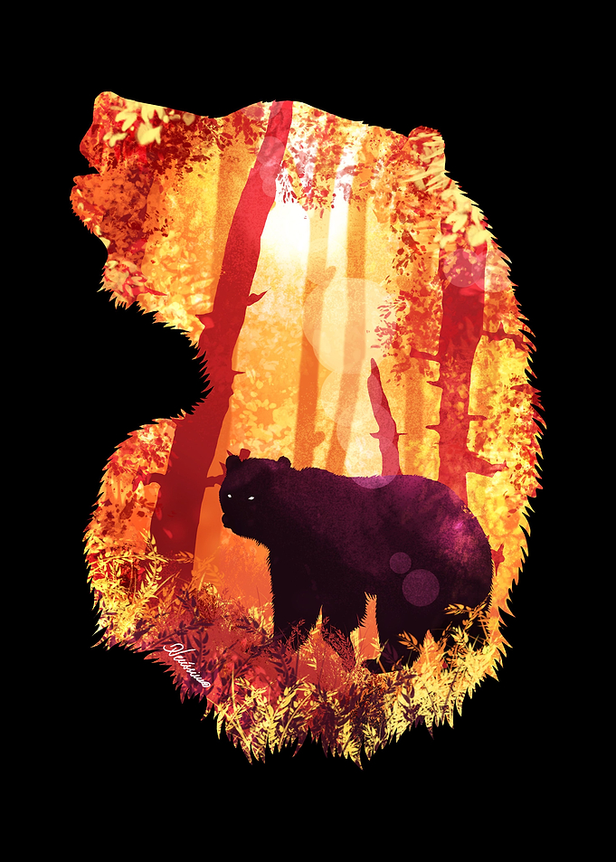 Evening Solace Bear