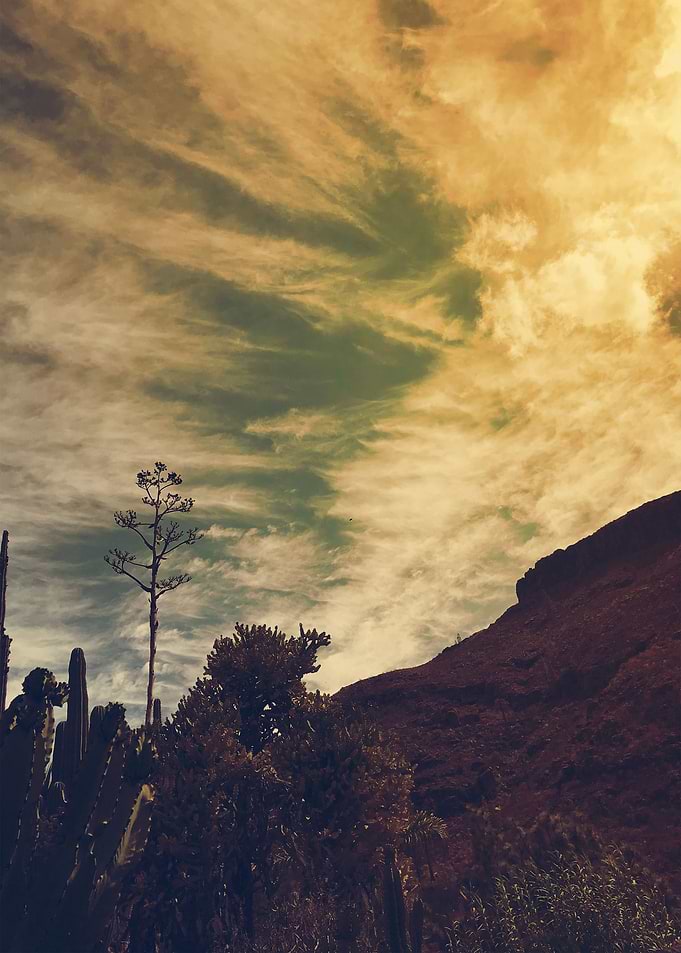 Everything is in the cloud