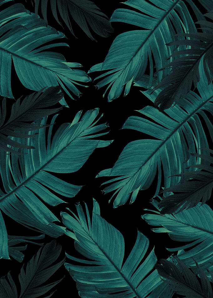 Tropical Banana Night 1