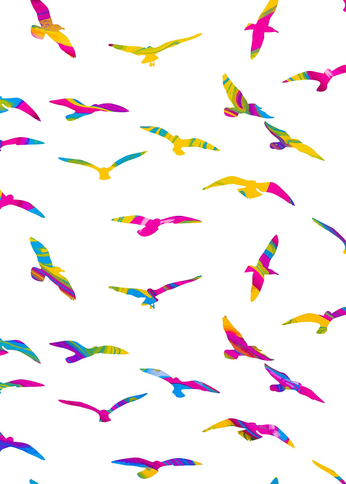 Wild Free