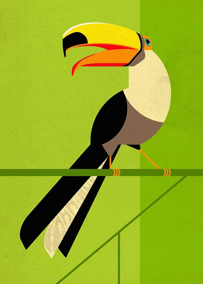 Toucan
