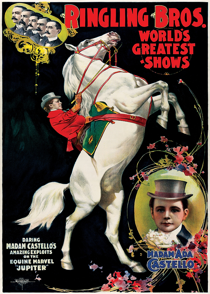 CIRCUS VINTAGE HORSE RETRO