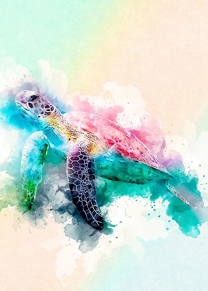 Turtle Watercolor