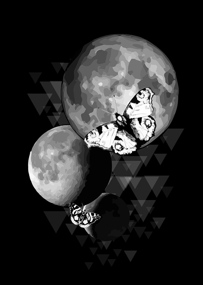 Butterfly in space