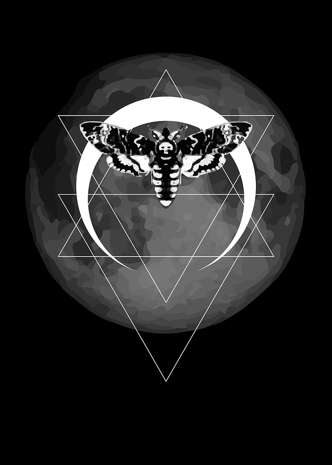 Moth in space