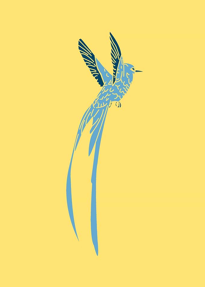 Bird