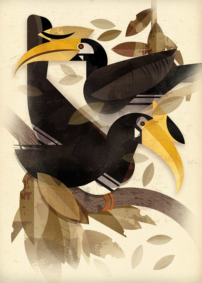 Hornbills