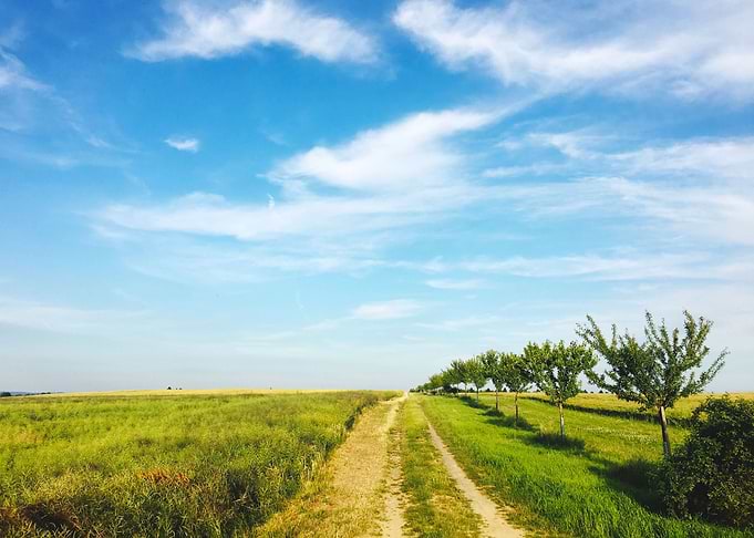 Endless Path