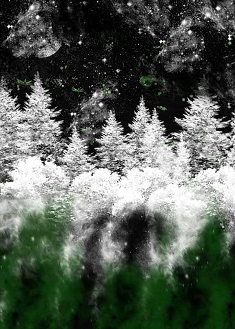 Forest Night