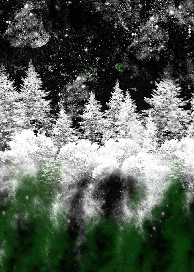 Forest Night