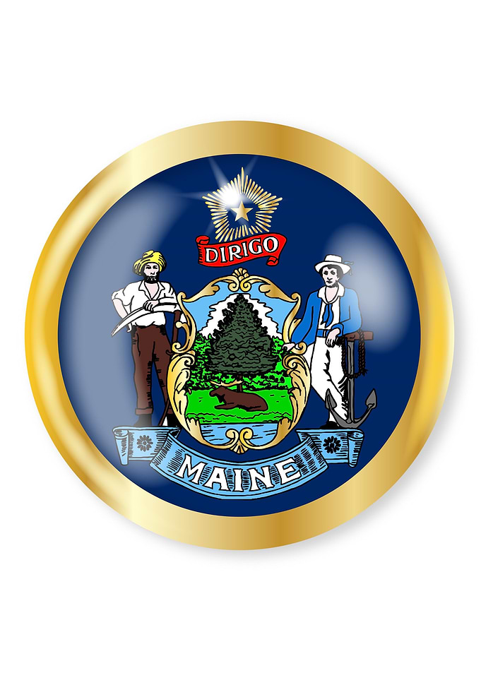 Maine Flag Button