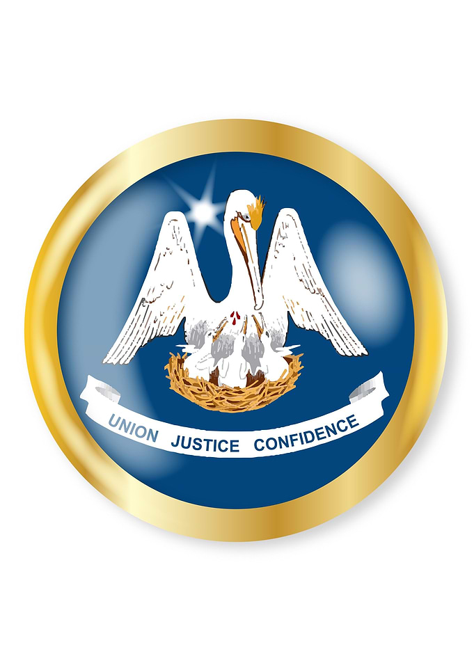 Louisiana Flag Button