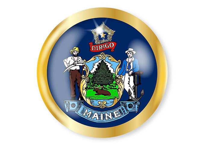 Maine Flag Button