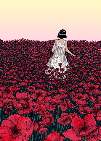 Field of Poppies in Colour