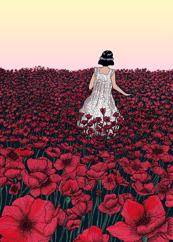 Field of Poppies in Colour