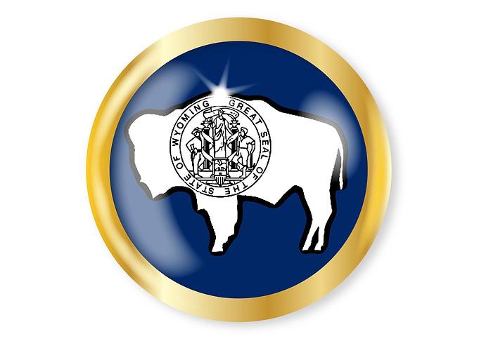 Wyoming Flag Button