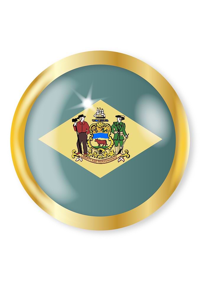 Delaware Flag Button