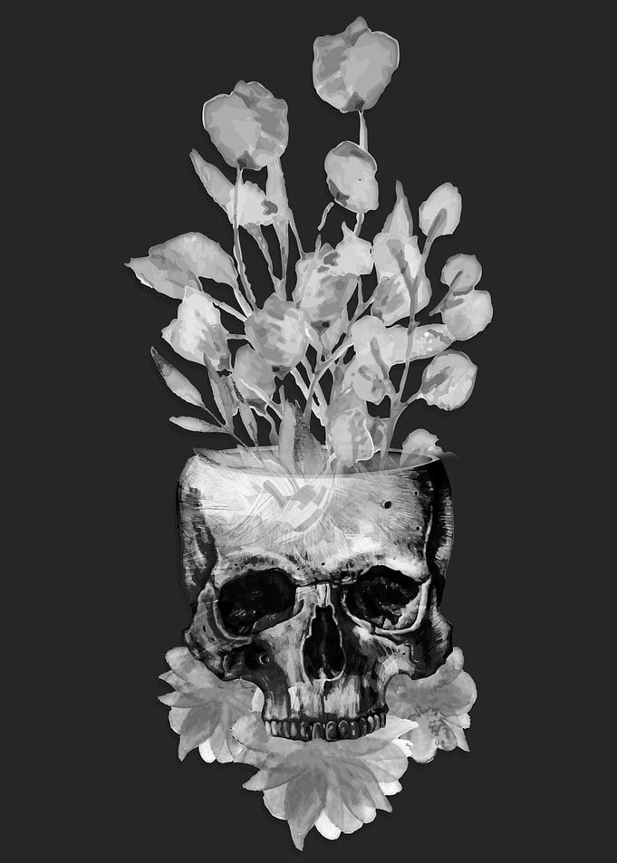 Life From Death