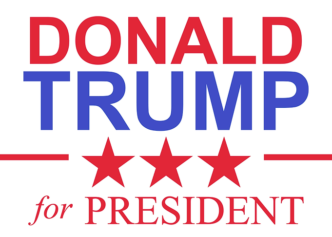 DONALD TRUMP Election