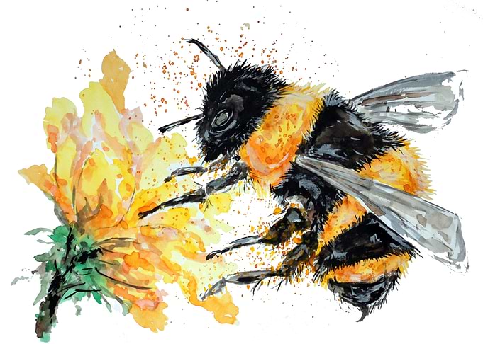 Bumble Bee collects Pollen