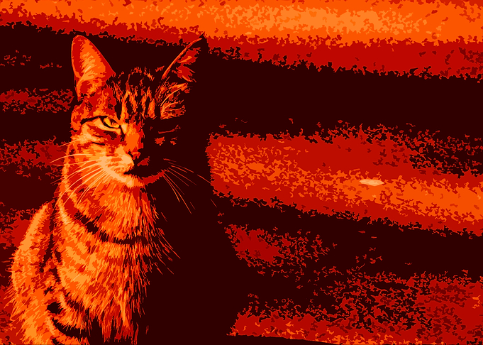 Feline aspirations