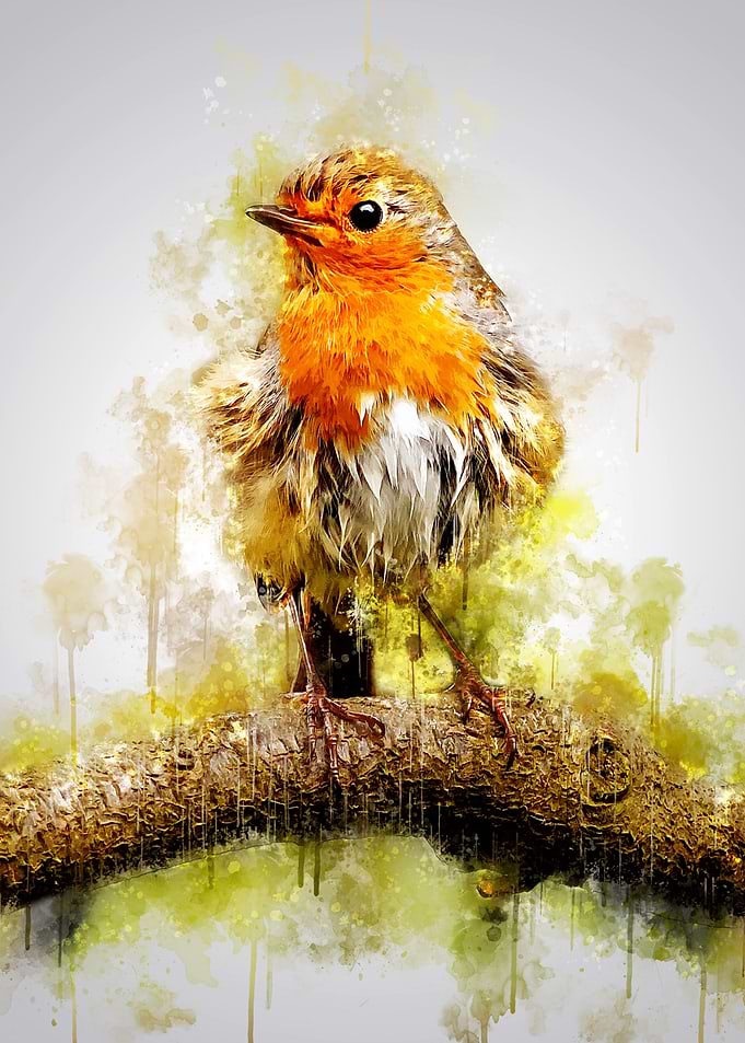 Songbird