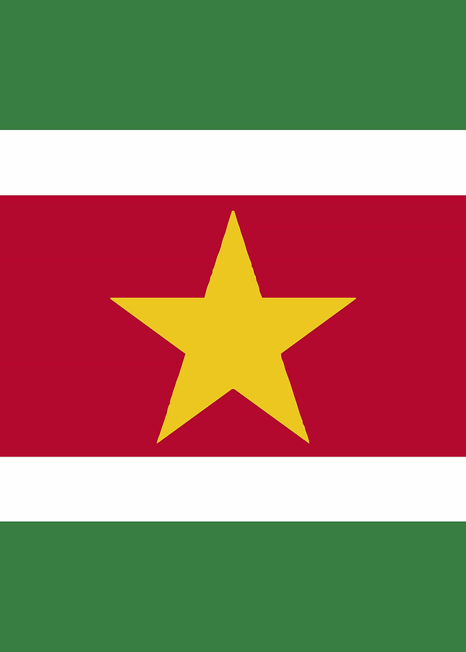 Suriname Flag