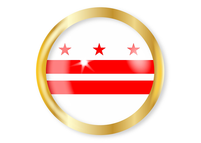 Washington DC Flag Button