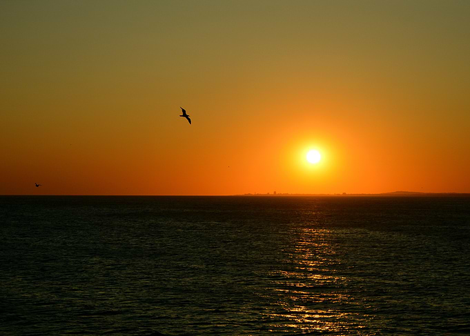 Sunset Ocean