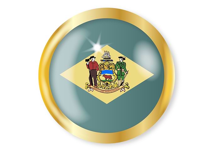 Delaware Flag Button