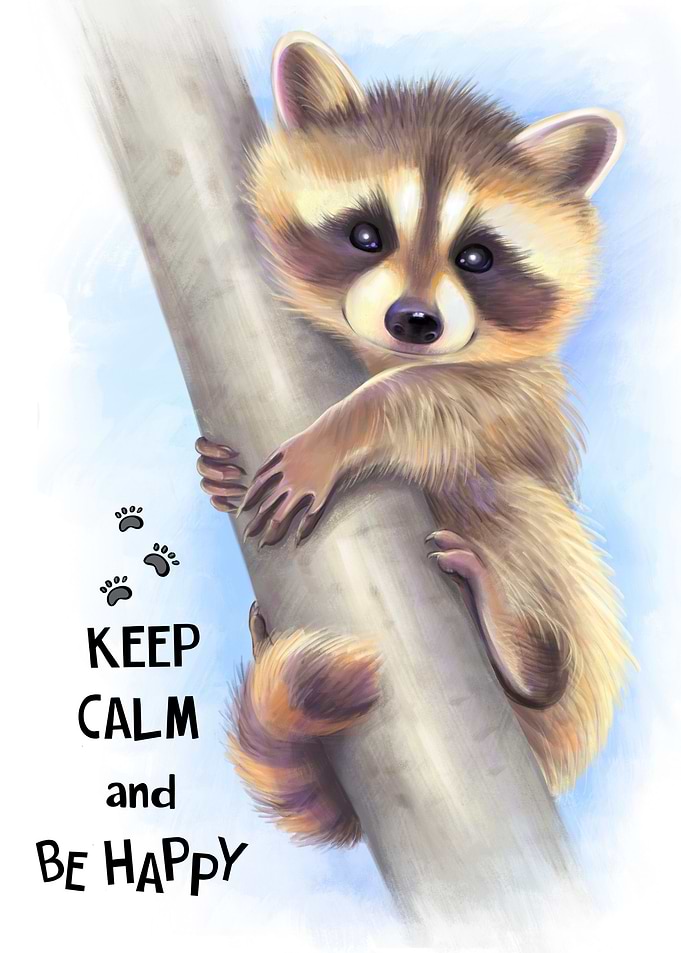 Baby raccoon