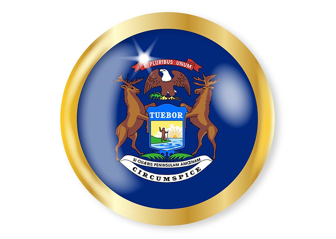 Michigan Flag Button
